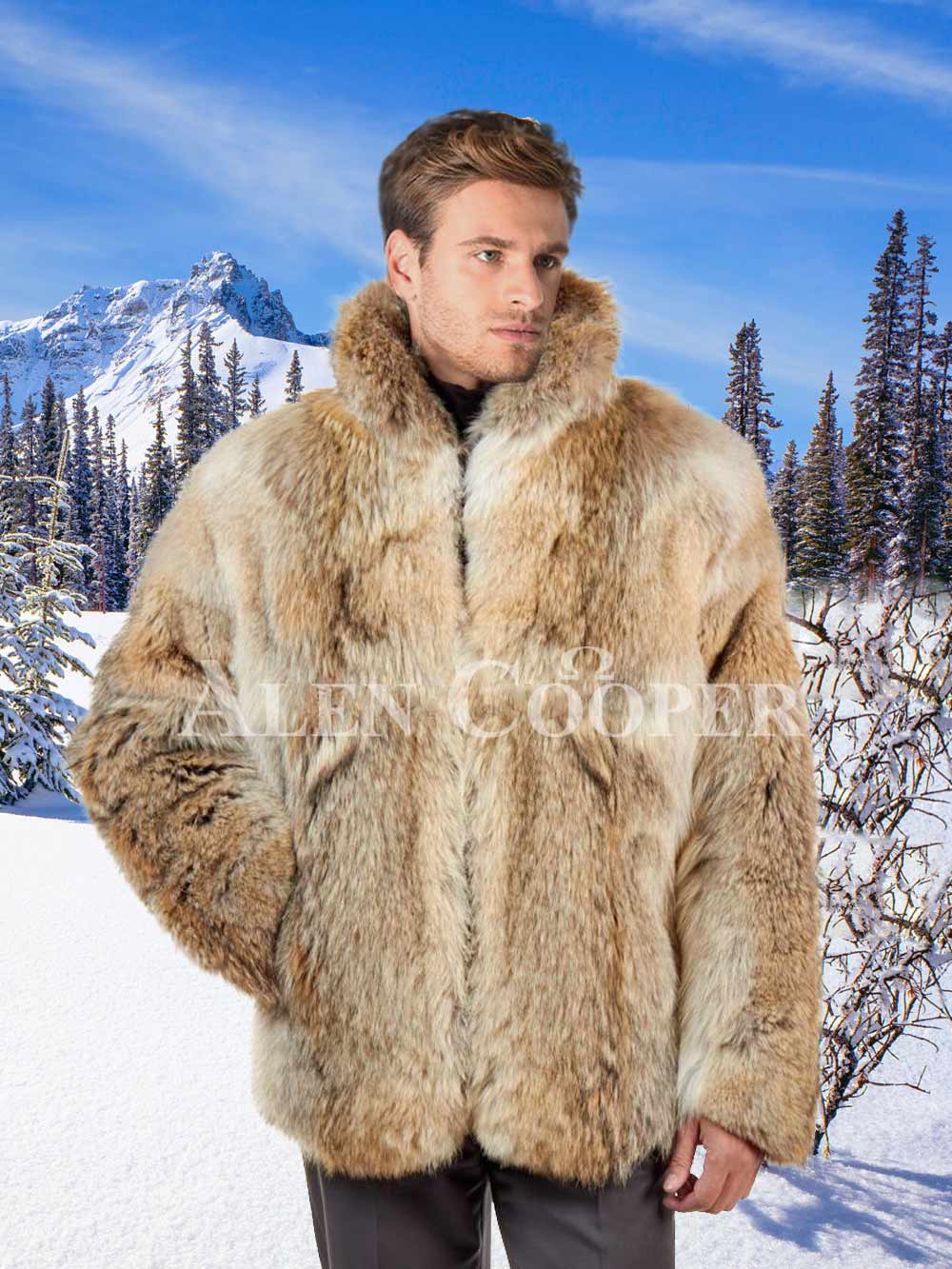 fur collar